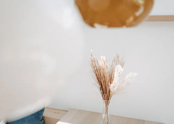 別荘 Strandhaus Suedwesthoern *